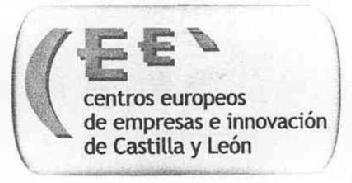 CEEI CENTROS EUROPEOS DE EMPRESAS E INNOVACION DE CASTILLA Y LEON