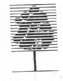 M2432438