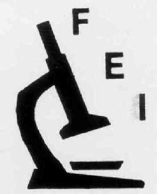 FEI