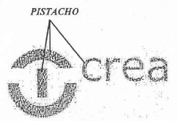 CREA