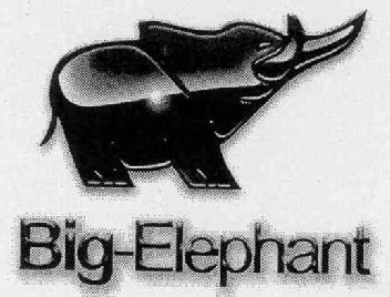 BIG-ELEPHANT
