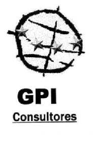 GPI CONSULTORES