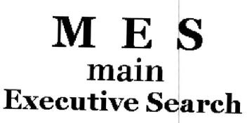 M E S MAIN EXECUTIVE SEARCH