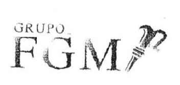 GRUPO FGM