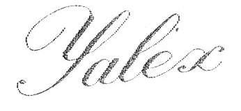 YALEX