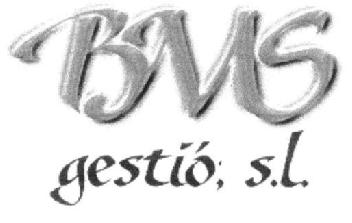 BMS GESTIO, S.L