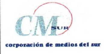 CM SUR CORPORACION DE MEDIOS DEL SUR