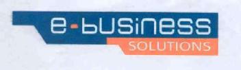 E BUSINESS SOLUTIONS