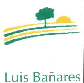 LUIS BAÑARES