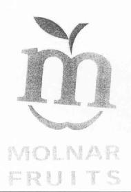 M MOLNAR FRUITS