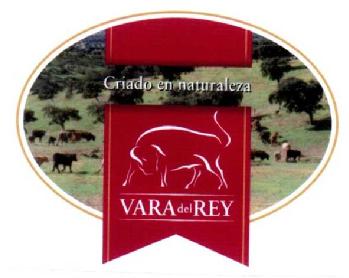 CRIADO EN NATURALEZA VARA DEL REY