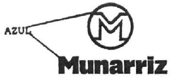 M MUNARRIZ