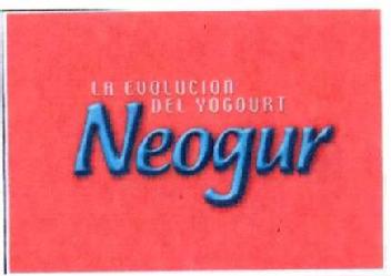 LA EVOLUCION DEL YOGOURT NEOGUR