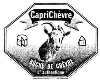CAPRICHEVRE BUCHE DE CHEVRE L'AUTHENTIQUE