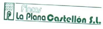 F FINCAS LA PLANA CASTELLON S.L