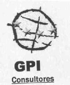 GPI CONSULTORES