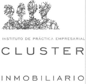 INSTITUTO DE PRACTICA EMPRESARIAL CLUSTER INMOBILIARIO