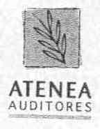 ATENA AUDITORES