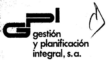 GPI GESTION Y PLANIFICACION INTEGRAL,S.A