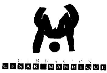 CM FUNDACION CESAR MANRIQUE