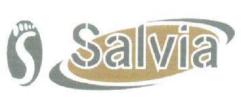 S SALVIA