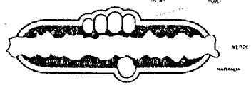 M1679367