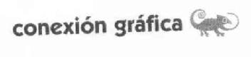 CONEXION GRAFICA