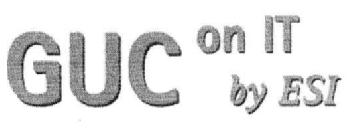 GUC ON IT BY ESI