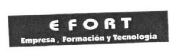 EFORT EMPRESA. FORMACION Y TECNOLOGIA