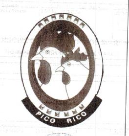 PICO RICO