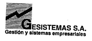 GESISTEMAS SA. GESTION Y SISTEMAS EMPRESARIALES