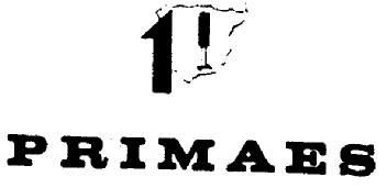 1 PRIMAES