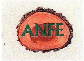 ANFE