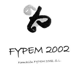 FYPEM 2002 FORMACION FYPEM 2002, S.L