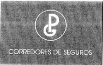 PG CORREDORES DE SEGUROS