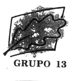 GRUPO 13