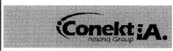 CONEKTIA. NEXING GROUP