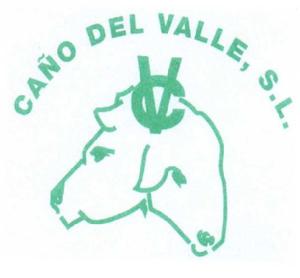 CAÑO DEL VALLE, S.L. CV