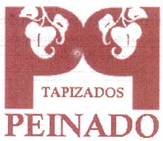 PP TAPIZADOS PEINADO