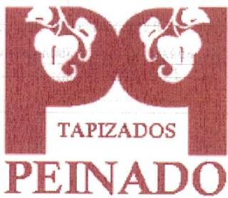 PP TAPIZADOS PEINADO