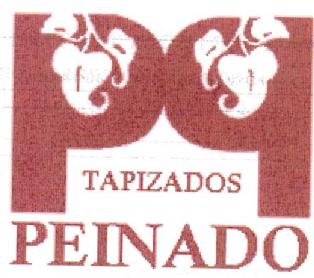 PP TAPIZADOS PEINADO