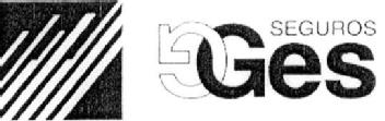 SEGUROS GES