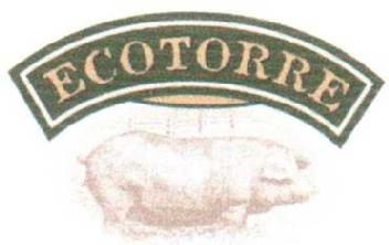 ECOTORRE
