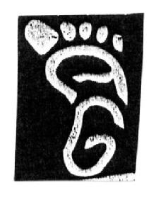 A G