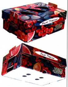 PACK TROPICAL JEVE