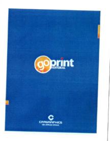 GOPRINT EDITORIAL CARGRAPHICS