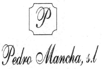 P PEDRO MANCHA, S.L