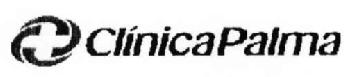 CLINICA PALMA