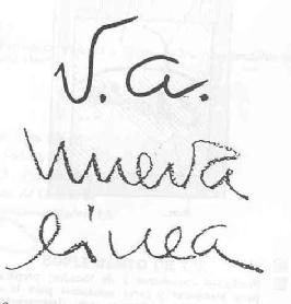V.A. NUEVA LINEA