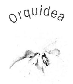 ORQUIDEA